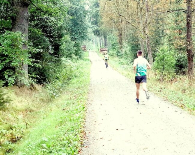 Sport im Wald
