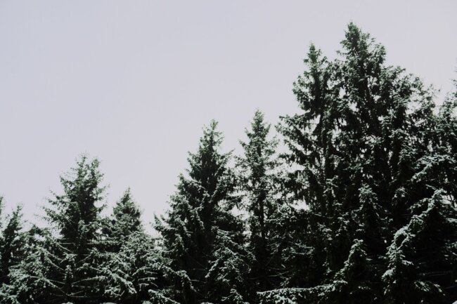 WeihnachtenWinter21