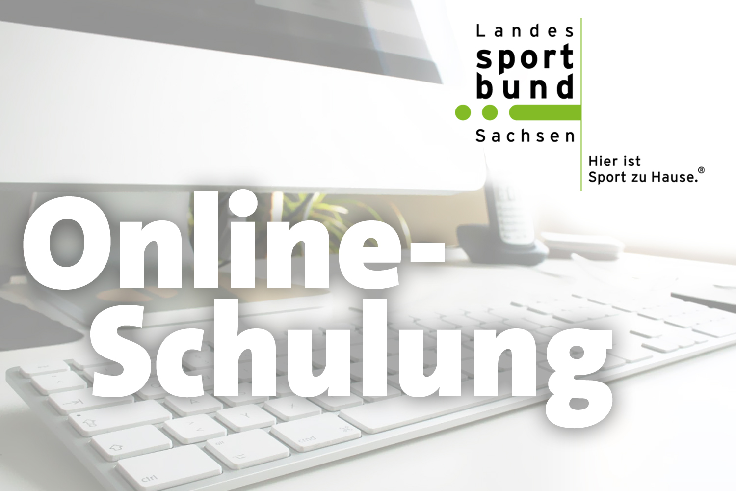 Online-Schulung-LSB Kopie