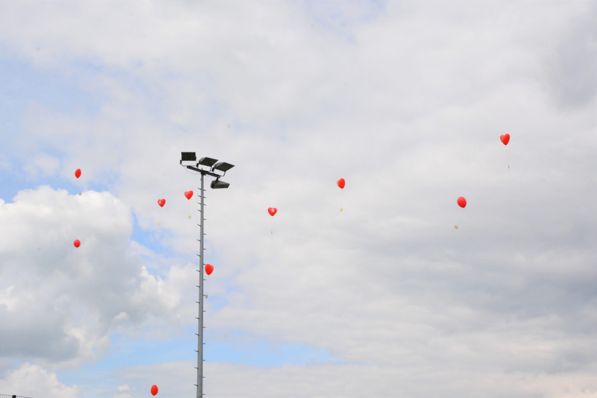 VSKSFdippoldiswalde110523 (31)