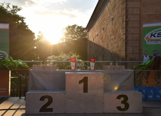 Festungslauf4_bild