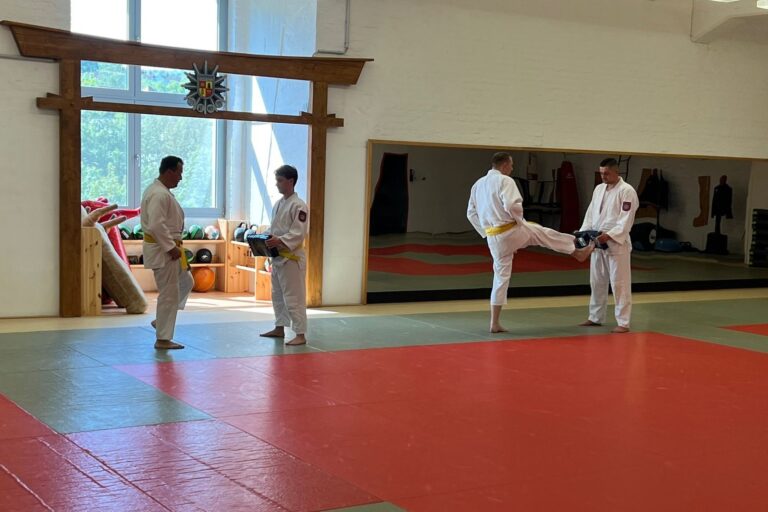 JudoIntegration2a