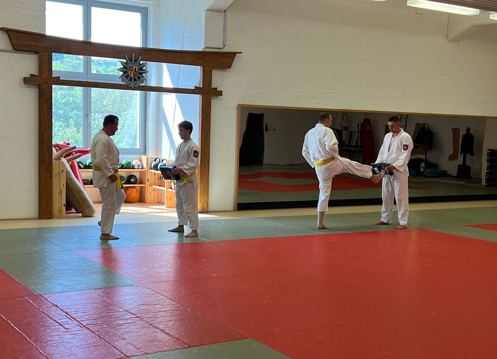 JudoIntegration2a