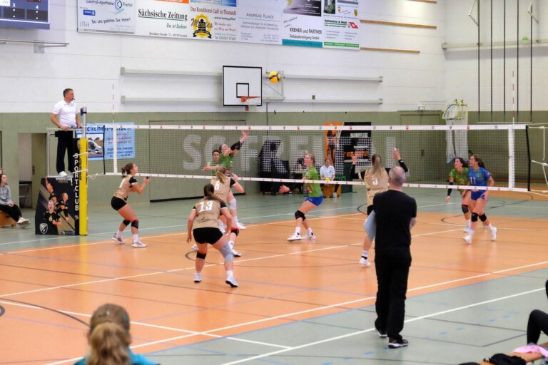 Volleyball_SCfreital2023 (3)