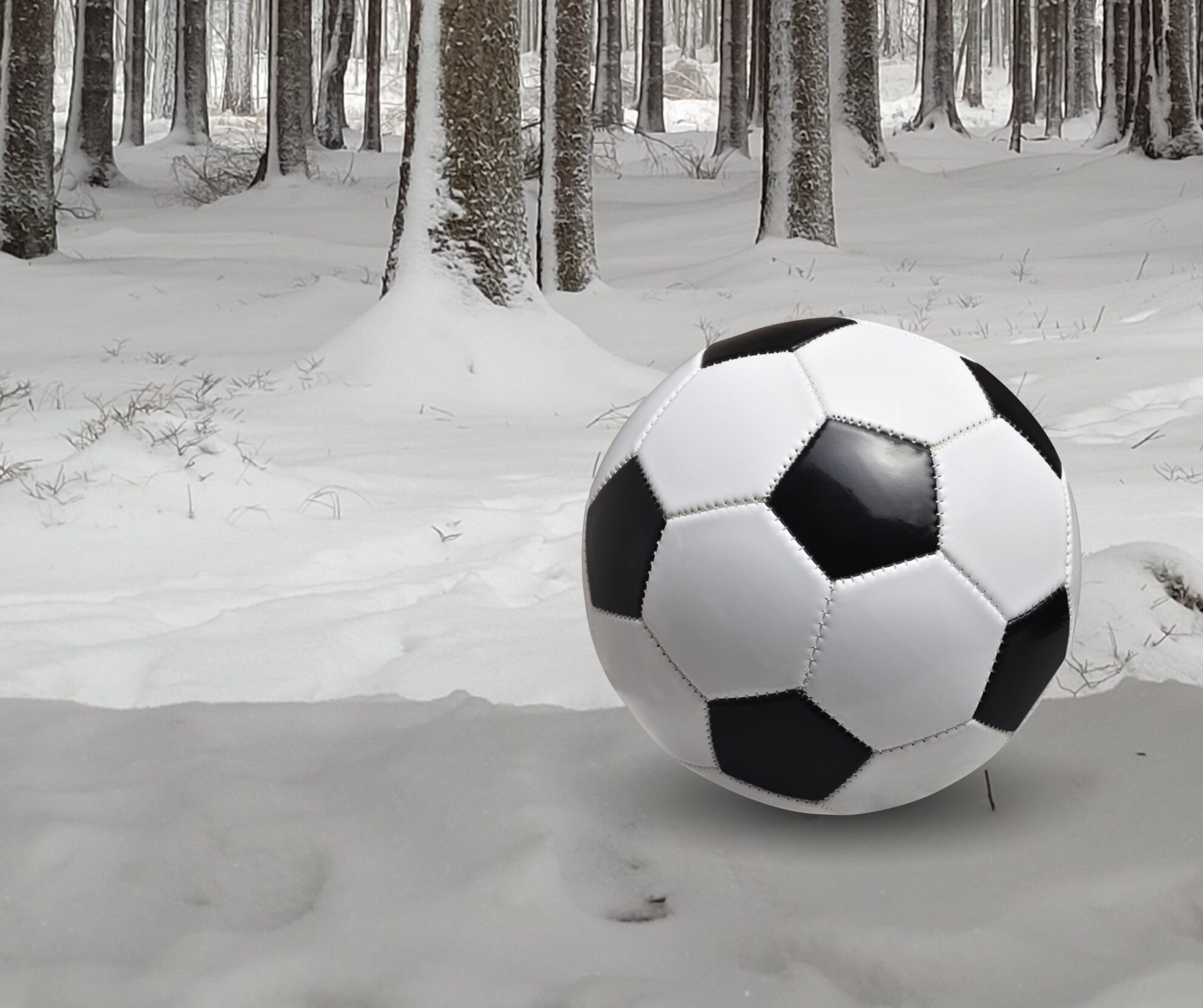 FussballSchnee_skl