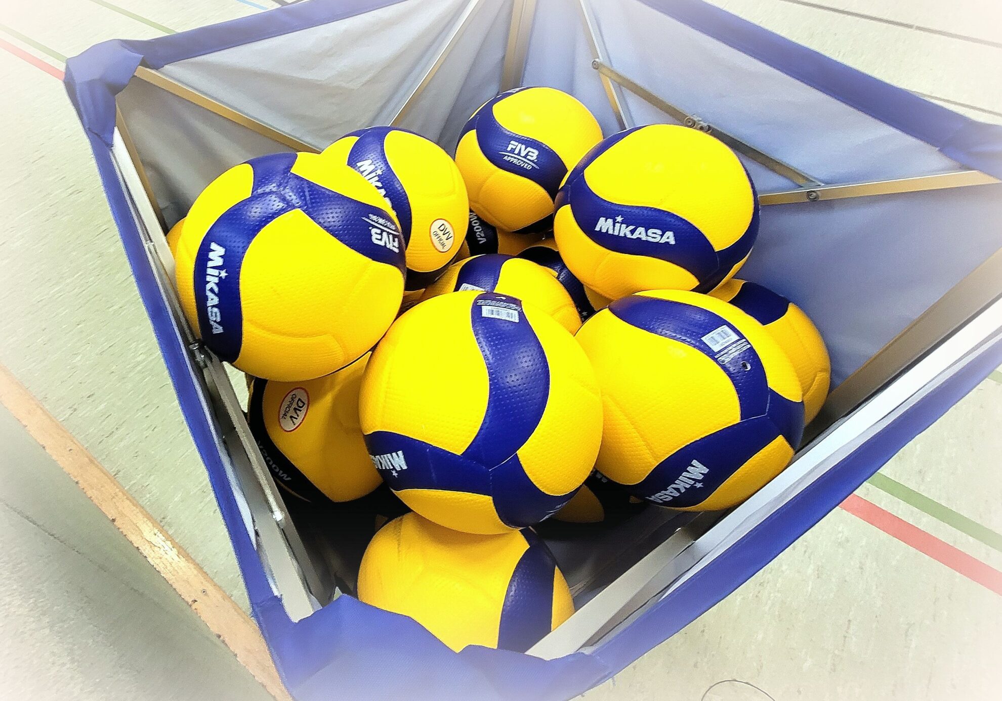 Volleyball_SCF23ball