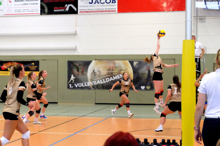 Volleyball_SCfreital2023 (5)