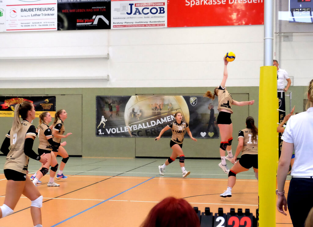 Volleyball_SCfreital2023 (5)