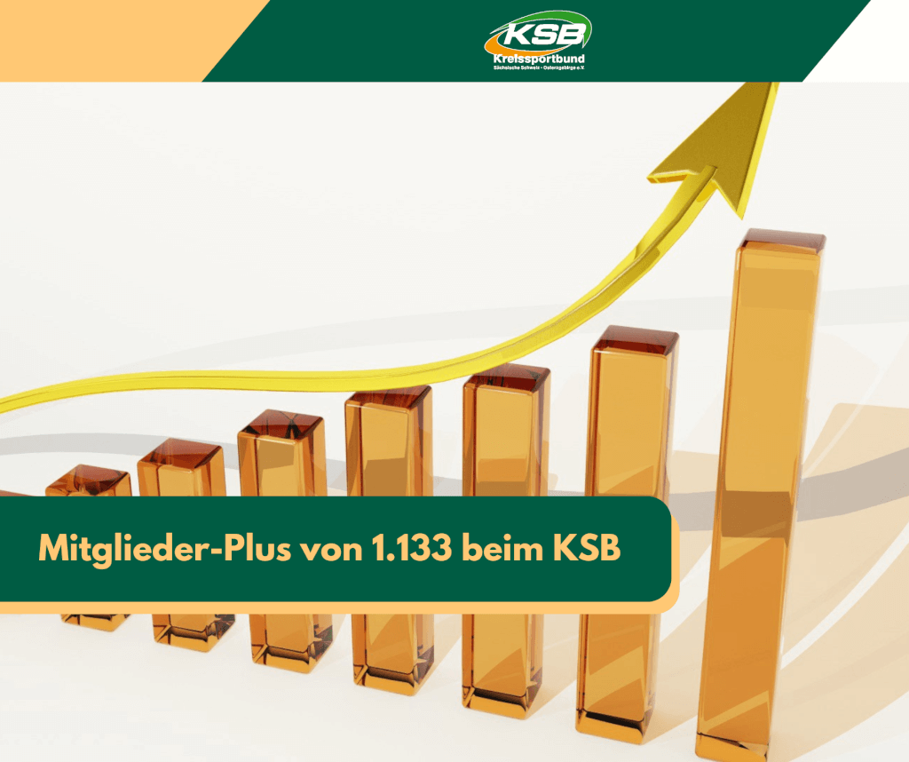 KSBstatistik24