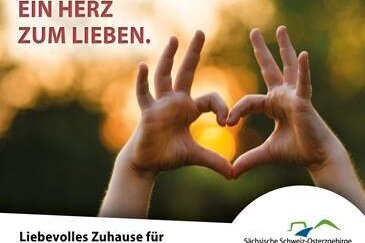 Pflegeeltern gesucht