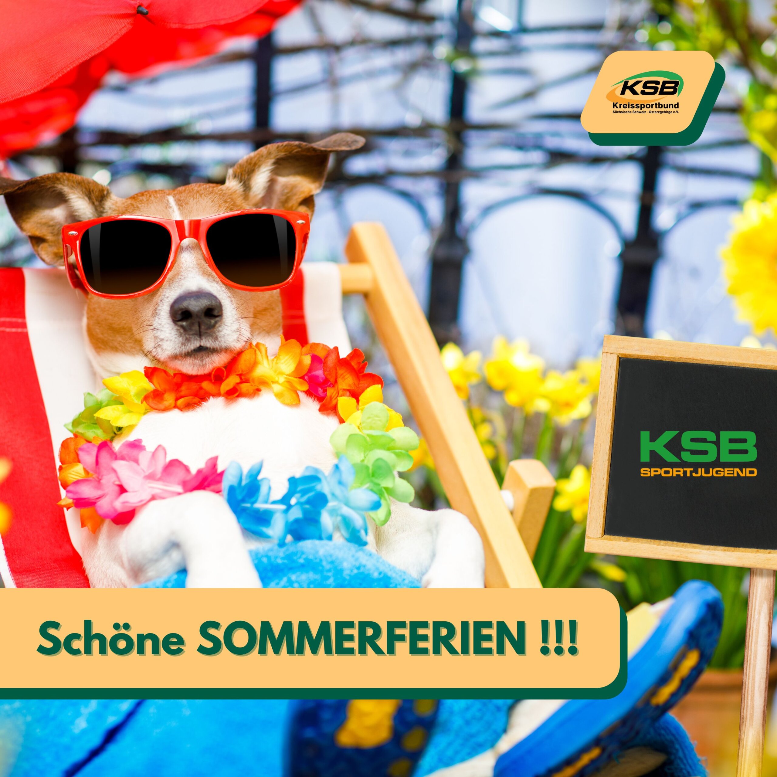 Schöne SOMMERFERIEN