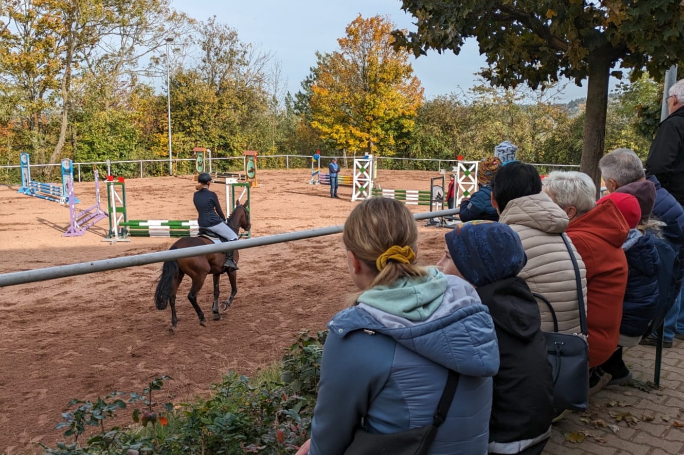 PferdesportObercarsdorf3