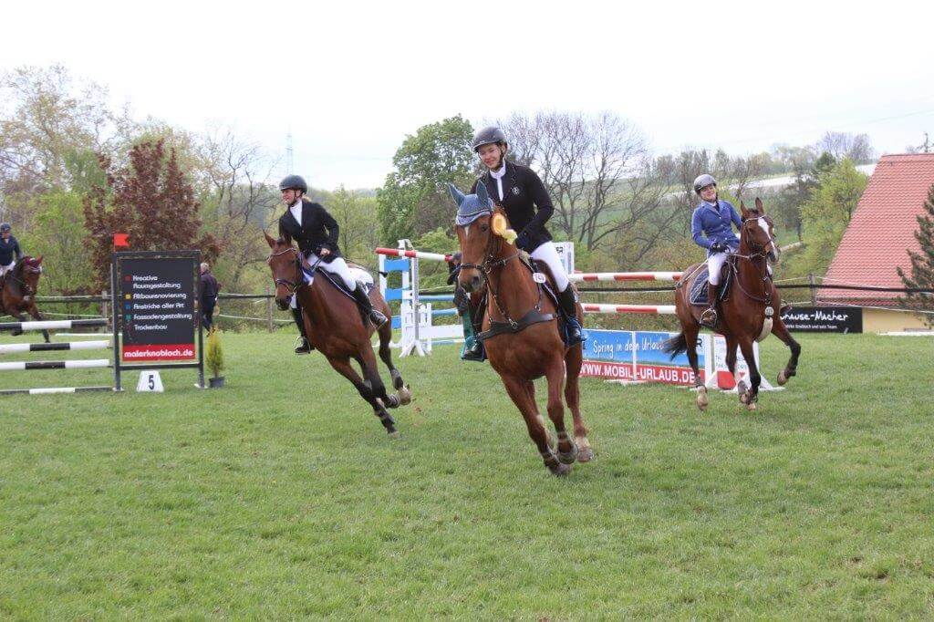 PferdehofRöhrsdorfArchiv