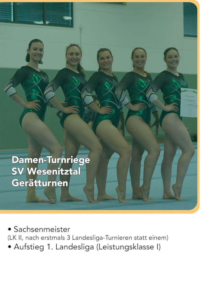 Damen-Turnriege