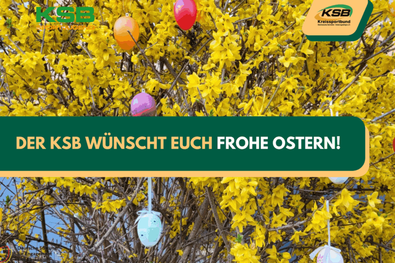 ORIGINAL CI KSB bitte NEHMEN (Instagram Post) (13)