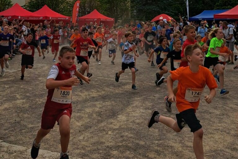 Minilauf2025Festungslauf (1)