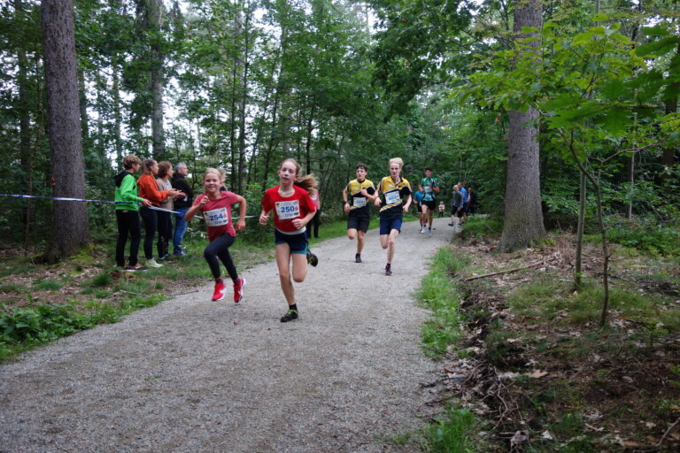 TharandterWaldLaufbeispielbild_Foto