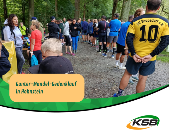 HohnsteinGMGLauf