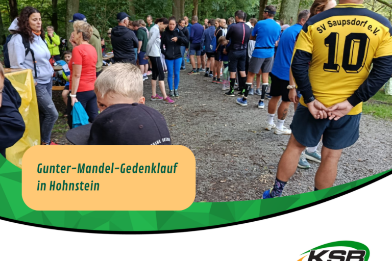 HohnsteinGMGLauf