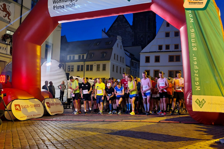 wgpcitylaufPIR